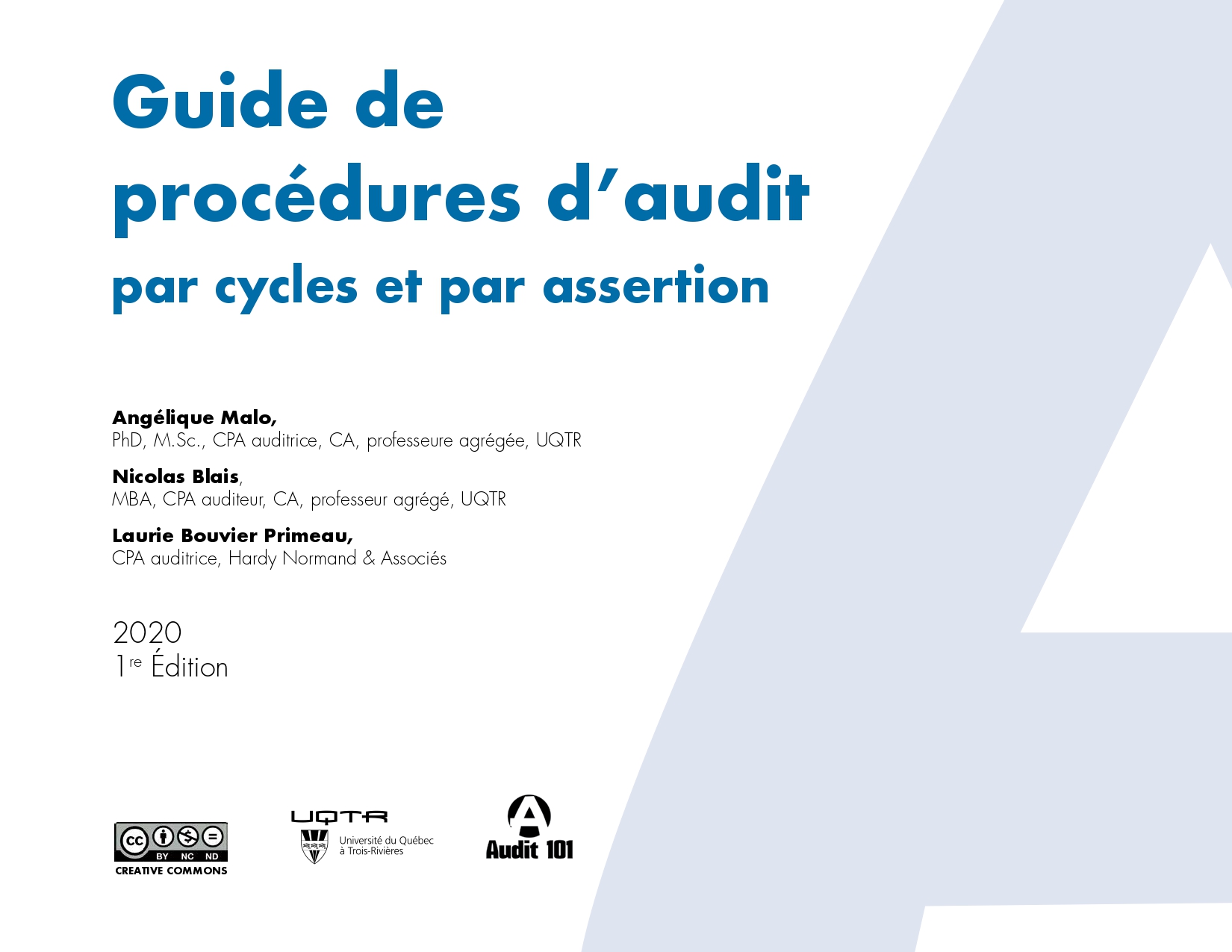 Guide de procédures d’audit par cycles et par assertion PDF_page-0001.jpg