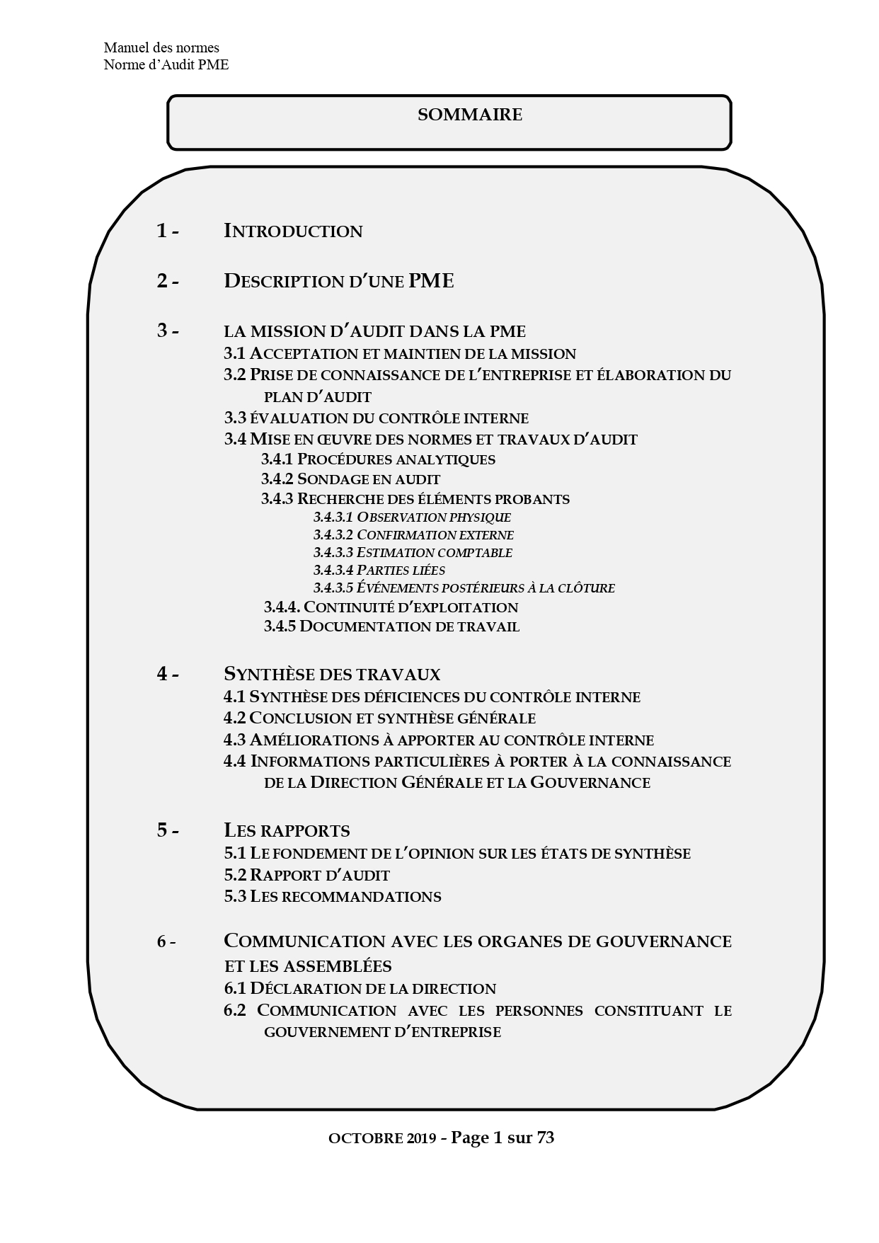 NORME D’AUDIT DES PETITES ET MOYENNES ENTREPRISES PDF_page-0002.jpg