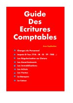 Guide Des Ecritures Comptables Avec Explication (3).jpg