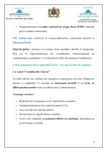 fraude fiscale_page-0008.jpg