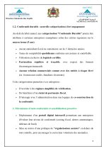fraude fiscale_page-0009.jpg