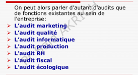 Support du cours d'audit générale PDF