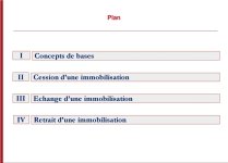 Traitement comptable relatif au sortie des immobilisations PDF