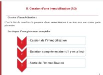 Traitement comptable relatif au sortie des immobilisations PDF