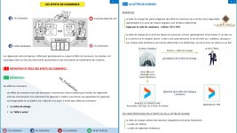 Résumé sur les effets de commerces PDF_page-0002.jpg
