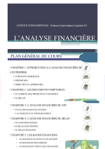 Support du cours d'Analyse financière.png