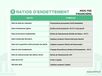 Les Principaux Ratios financiers PDF_page-0003.jpg