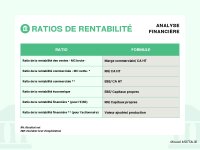 Les Principaux Ratios financiers PDF_page-0008.jpg