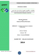 Techniques Logistiques Du Commerce International PDF_page-0001.jpg