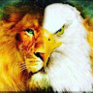 Aquila